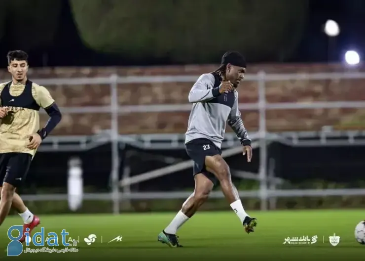 ییفوما: من قبلاً هرگز چنین چیزی ندیده بودم!