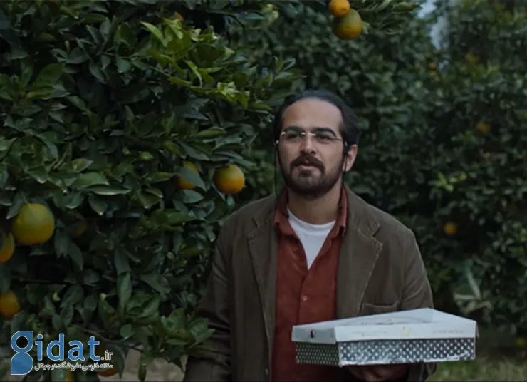 عشق یک زوج جوان ایرانی لای پرتقال‌ها، بحث‌برانگیز شد