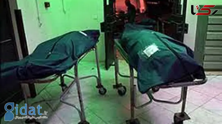 قتل مادر و دختر با انگیزه سرقت طلا در تهران