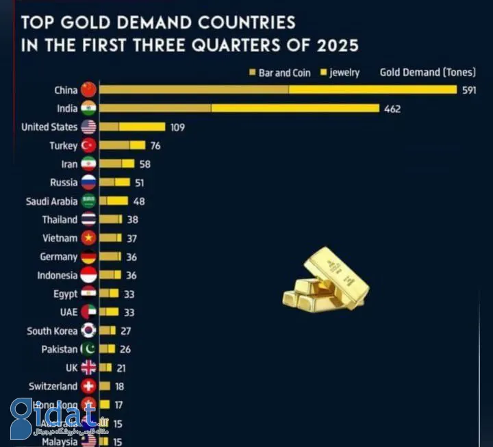 photo_2025-11-16_08-31-22