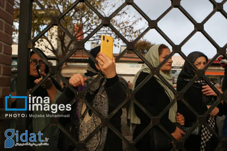 photo_2025-11-30_00-56-32