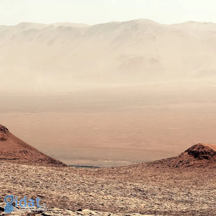 photo_2025-12-12_00-17-14