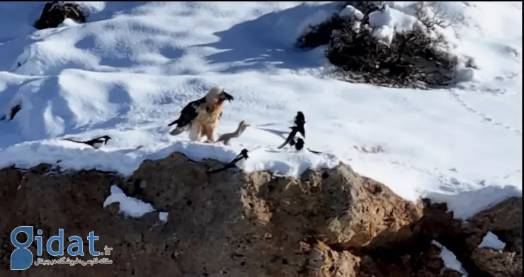 photo_2025-12-26_14-37-43