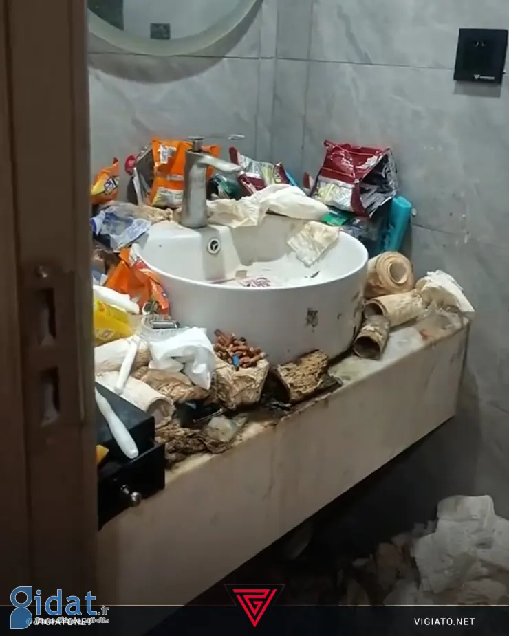 photo_2025-12-27_14-41-00