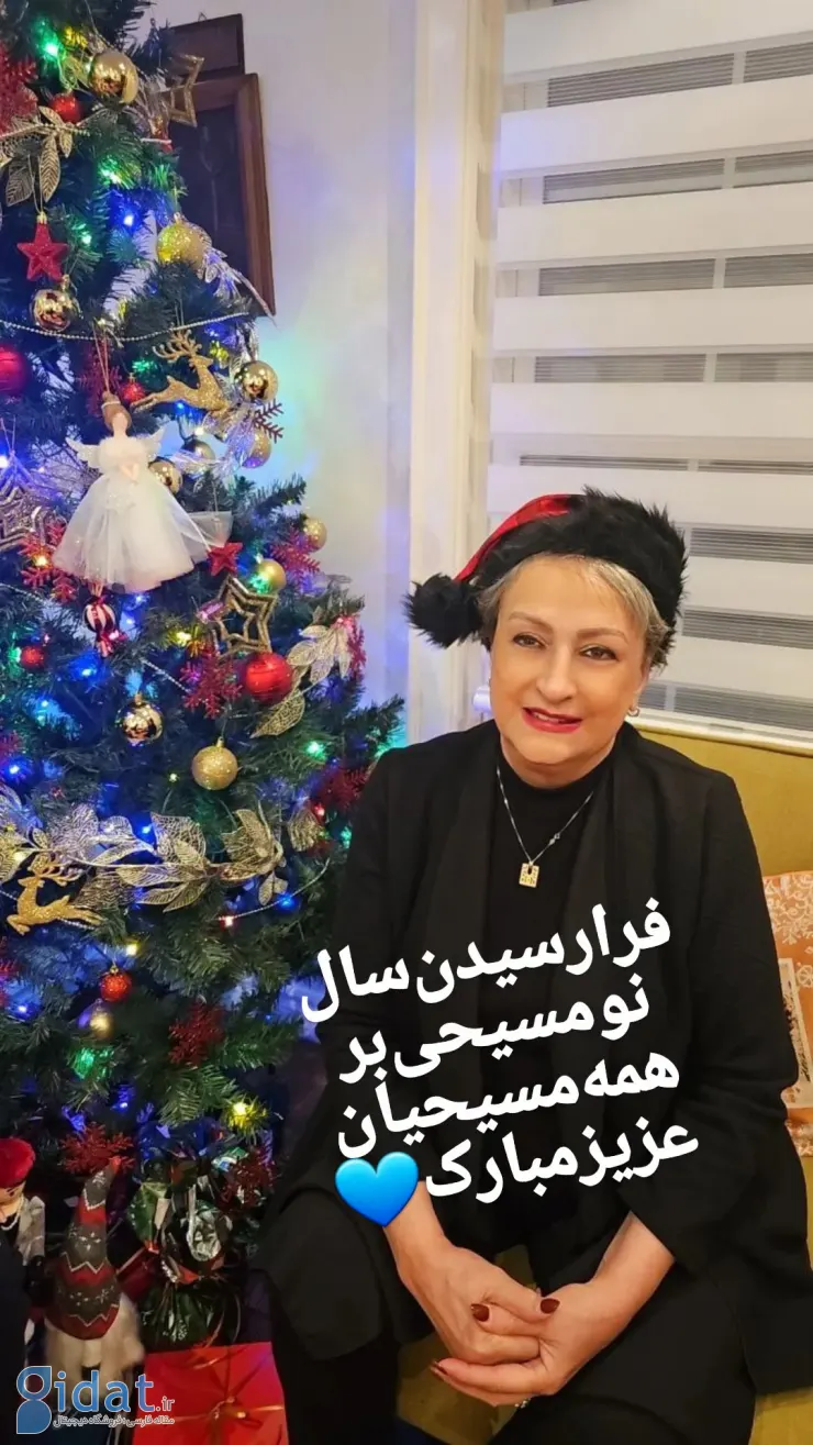 تصویری از جشن مریم امیر جلالی در شب سال نو