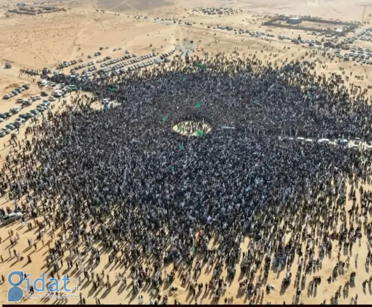 photo_2026-02-07_20-34-11