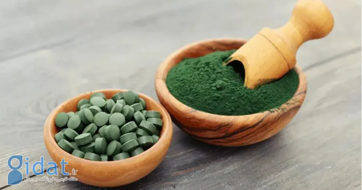 آیا پودر جلبک دریایی واقعاً به کاهش وزن کمک می‌کند؟