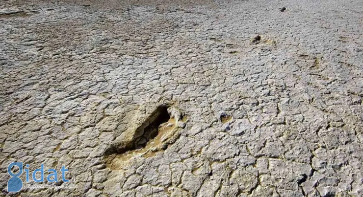 معمای کشف اسکلت انسان در شورآباد