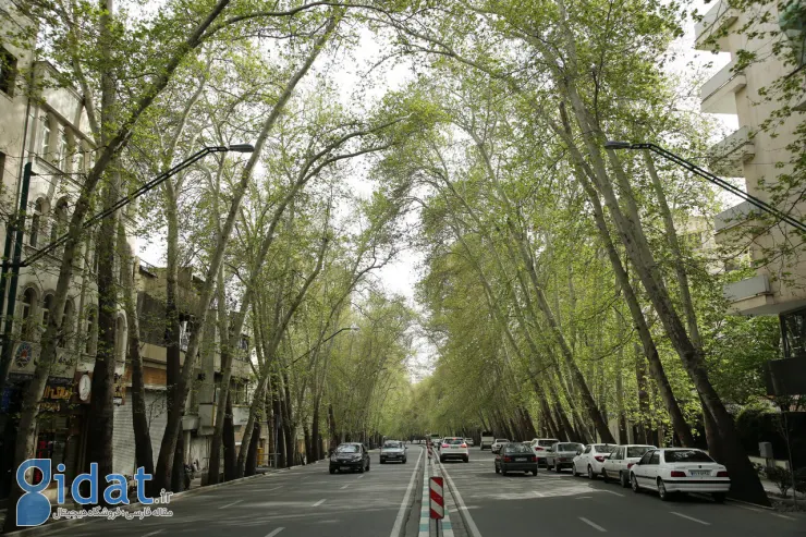 زیباترین خیابان‌های ایران که عاشقشان خواهید شد