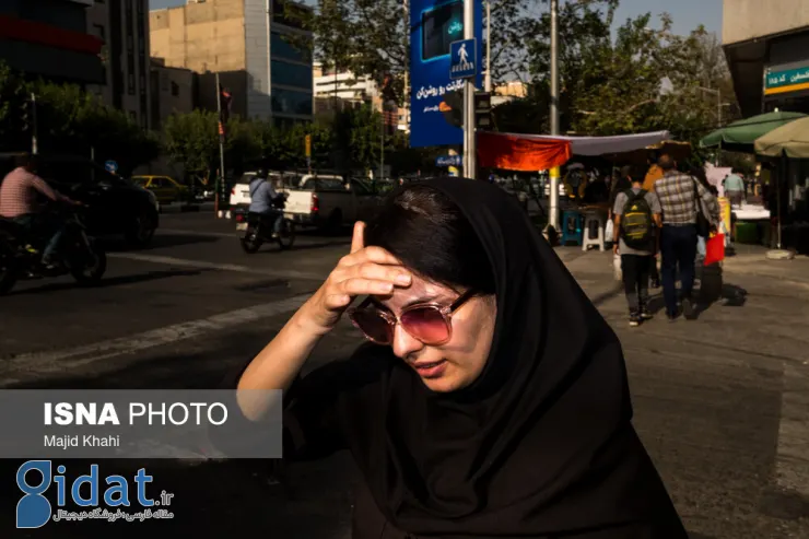 تصاویر جالب از تلاش مردم برای رهایی از گرما