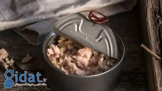 آیا خوردن ماهی تن هر روز بی‌خطر است؟