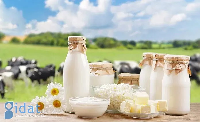 شیر چاق میکنه یا لاغر؟