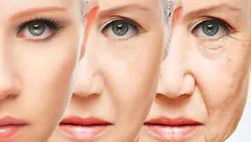 با خوردن این میوه چین و چروک پوست را کاهش دهید