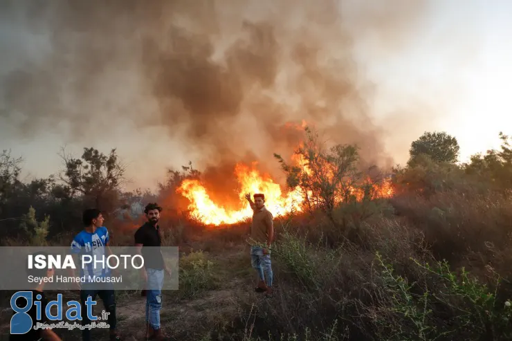 تصاویری از آتش سوزی پارک ملی کرکه