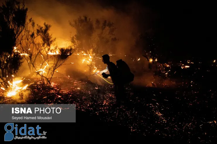 تصاویری از آتش‌سوزی در پارک ملی کرخه
