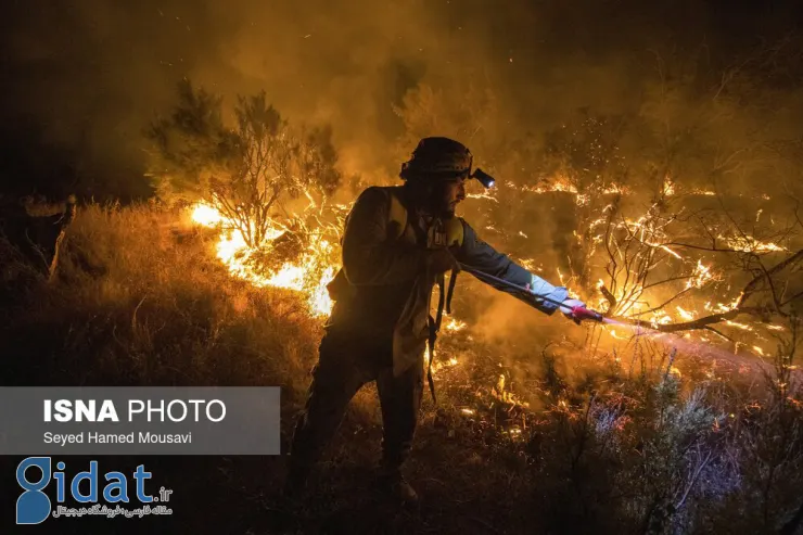 تصاویری از آتش‌سوزی در پارک ملی کرخه