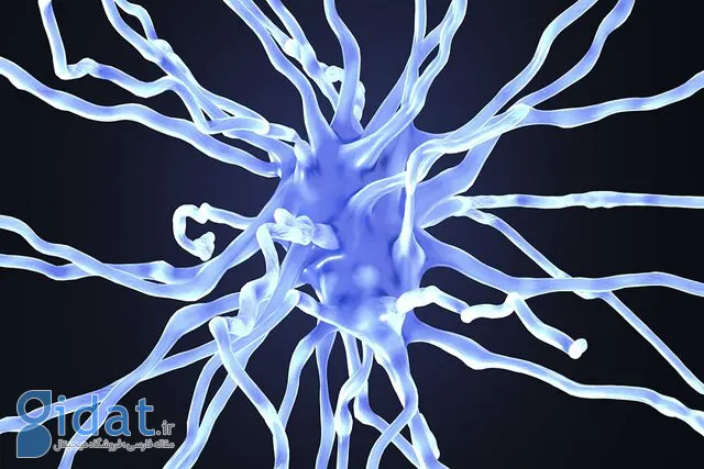 دارویی که آلزایمر را متوقف کرد