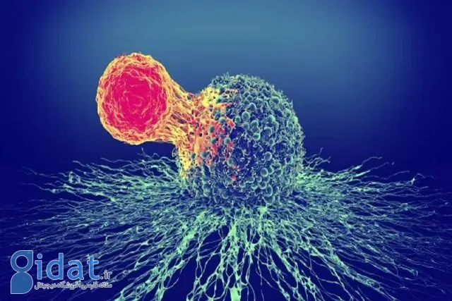 درمان سرطان بدون عوارض جانبی با روشی جدید