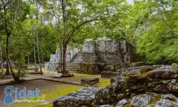 lost-mayan-city-620x372