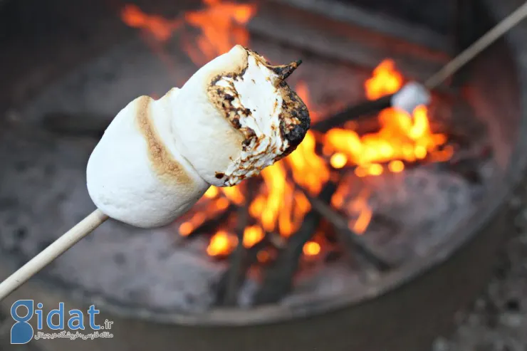National-Toasted-Marshmallow-Day-Images-Copyrighted-4-1024x683