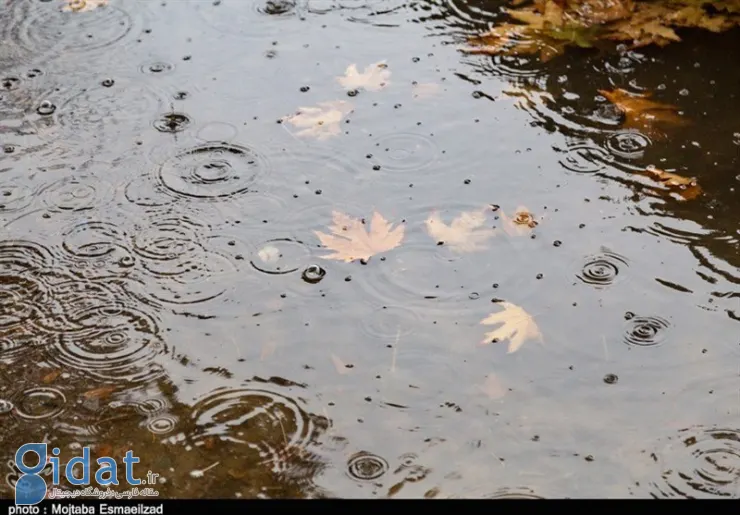 پیش بینی آب و هوا در مورد باران شدید