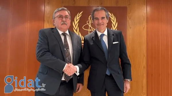 مشورت مهم اولیانوف با گروسی درباره ایران