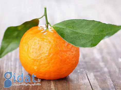 پرتقال ماندارین چیست و چه خواصی دارد؟