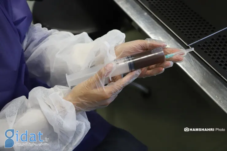 «پیوند مدفوع» جان ۳۵ بیمار را نجات داد