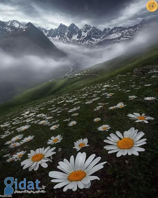 مناظر کوهستانی ماورایی که متحیرتان می‌کند!