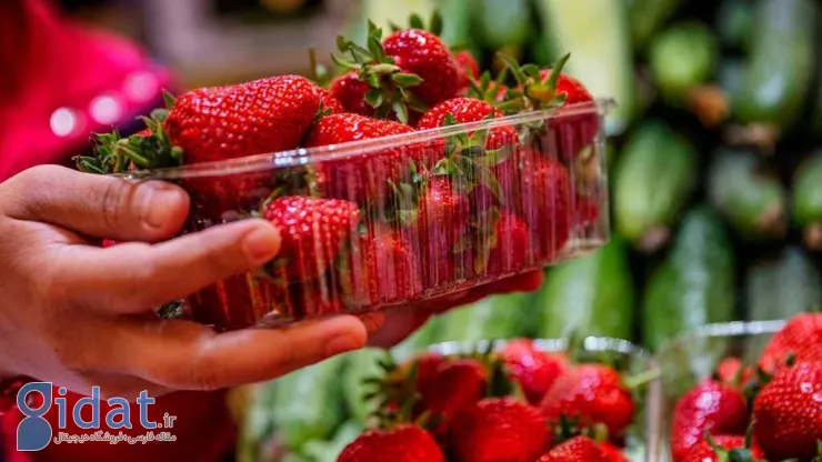این میوه دارویی برای درمان کبد چرب و دیابت است
