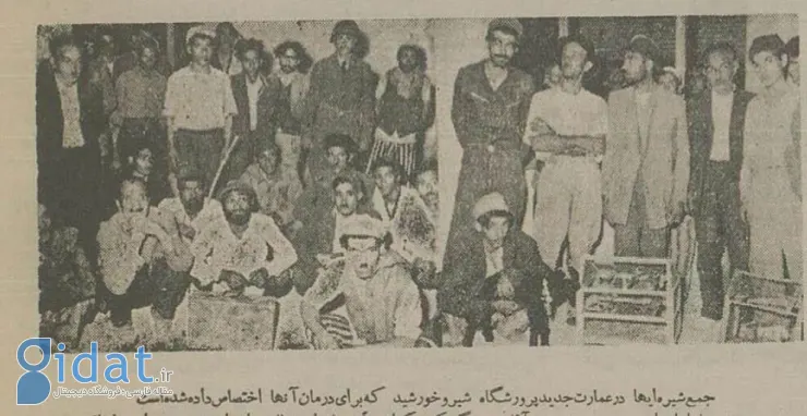 بلبل و طوطی و گوسفند در اهواز به مواد مخدر آلوده شدند!