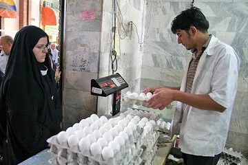 شرایط عجیب برای صادرات تخم مرغ