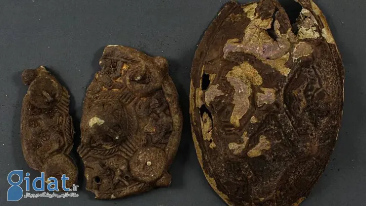 گنجی هزار ساله در حیاط پیدا شد