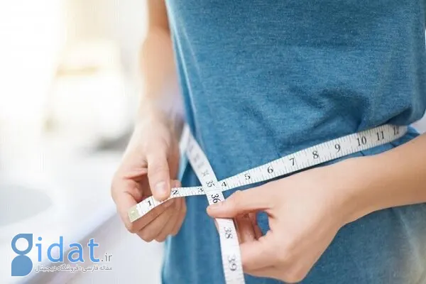 ۵ ماده غذایی موثر برای کاهش وزن