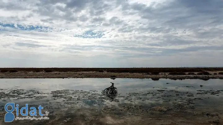 افغانستان وعده خود را به ایران زیر پا گذاشت