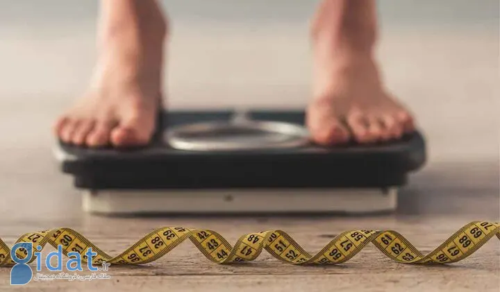 کاهش چربی شکم با خوردن دنبه گوسفند؟!