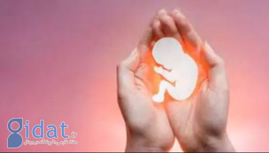 وزارت بهداشت در خصوص شرایط سقط جنین اطلاعیه ای صادر کرد