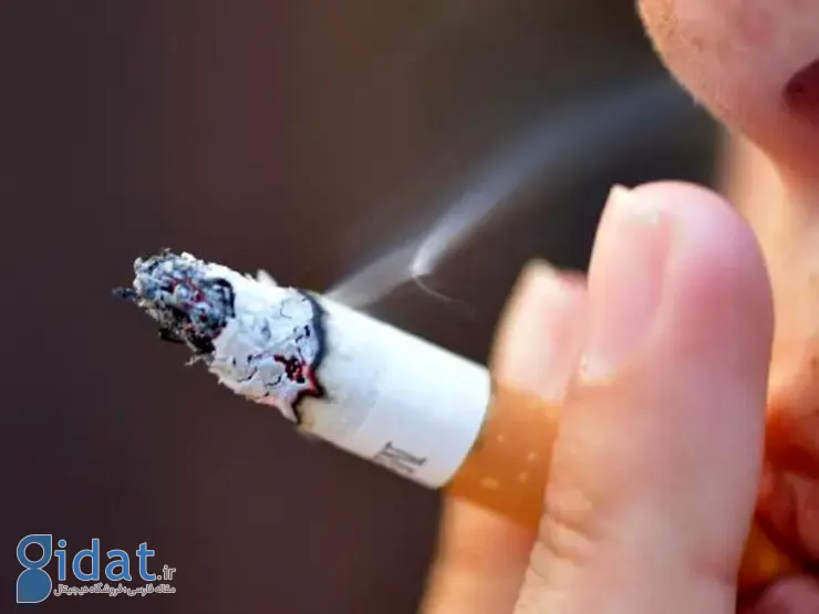 اولین کشور بدون سیگار را بشناسید