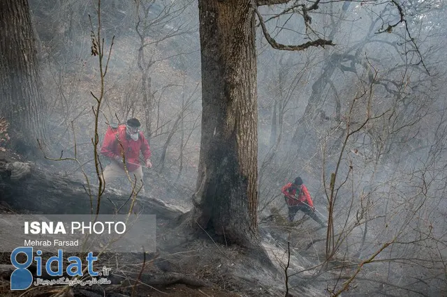مهار ۹۵ درصدی آتش‌سوزی در جنگل‌های کشور