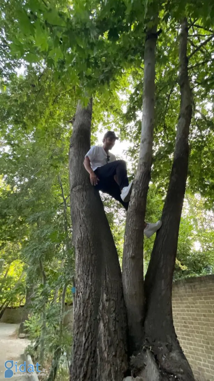 عکس عجیب قوچان‌نژاد در بالای درخت!
