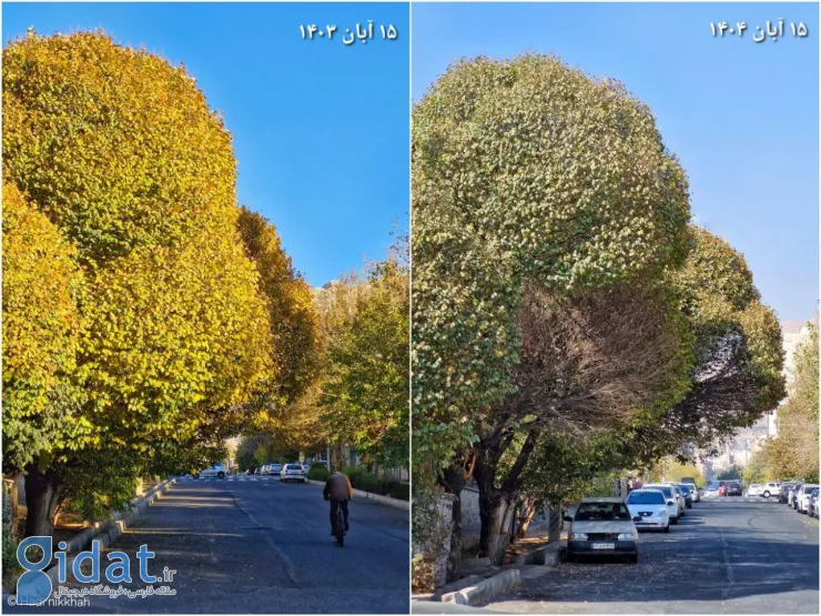 عکسی عجیب از پاییز تهران بعد از یک سال!
