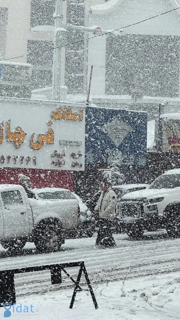 photo_2026-02-04_14-59-18