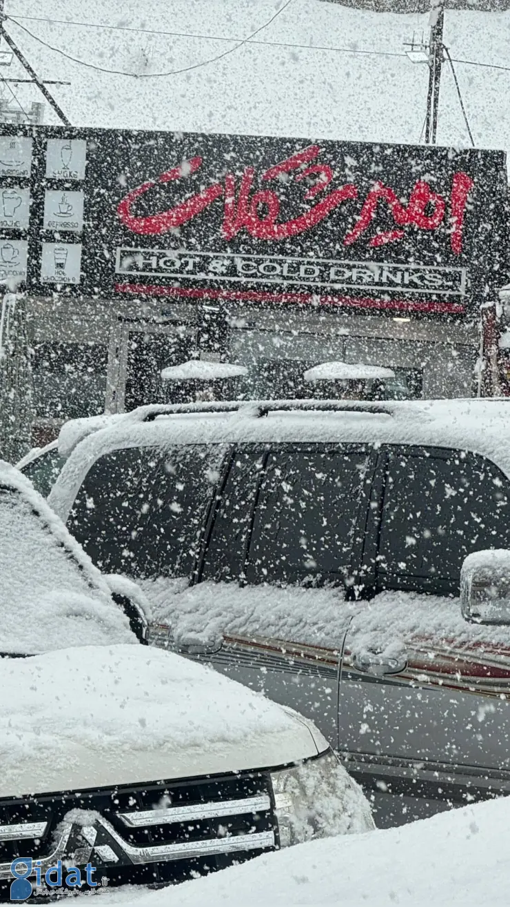 photo_2026-02-04_14-59-26