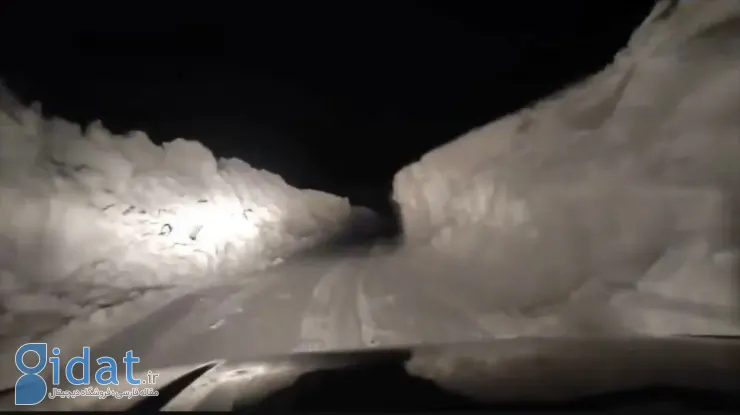 photo_2026-02-04_15-44-16