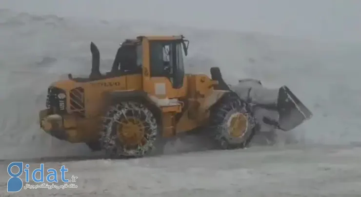 photo_2026-02-04_15-44-19