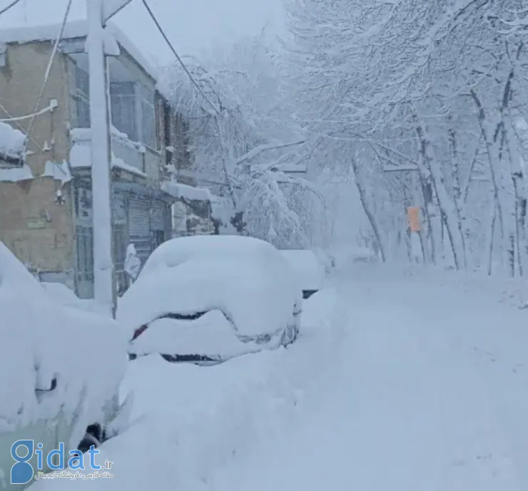 photo_2026-02-04_15-44-45