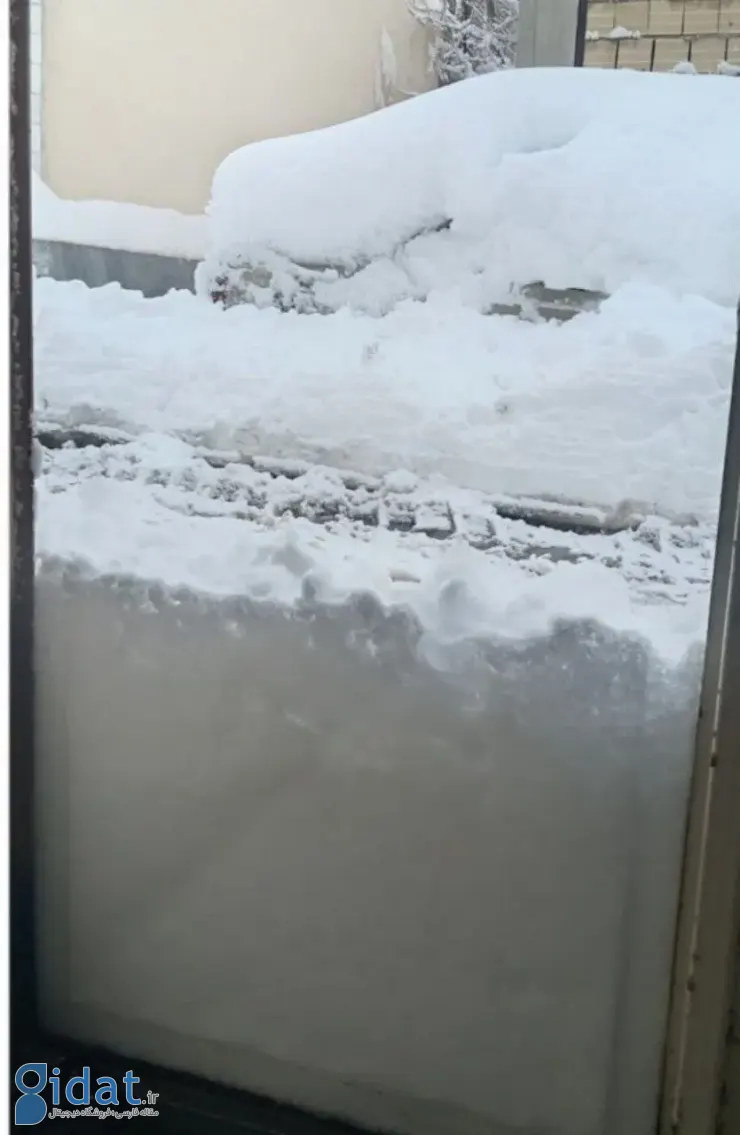 photo_2026-02-04_15-44-47