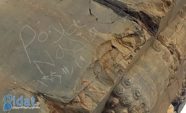 نویسندگان کتیبه‌های تخت جمشید تحت پیگرد قانونی قرار گرفتند