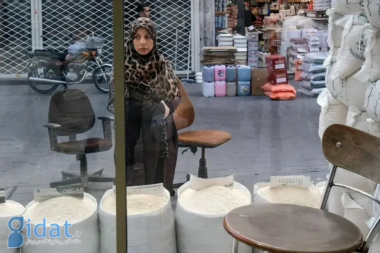 برنجی به ارزش ۴۰۰ تومان برای ما، و دلاری به ارزش ۲۸ تومان برای آقای ایکس