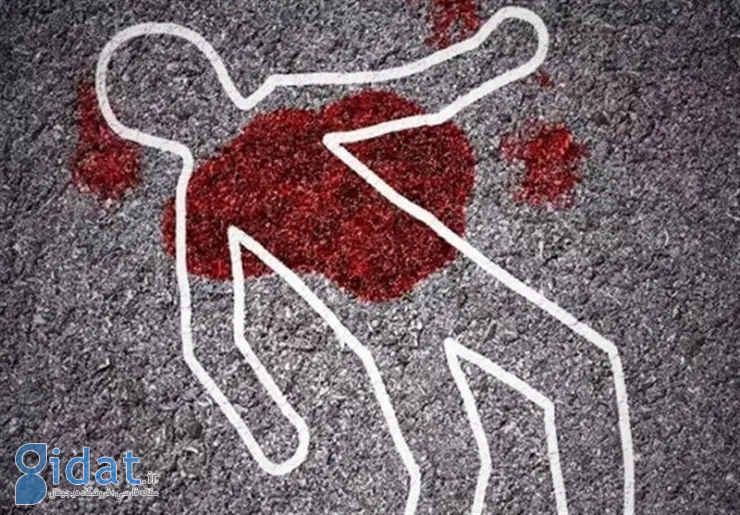 محاکمه زنی که پس از ارتکاب جرم به افغانستان گریخته است